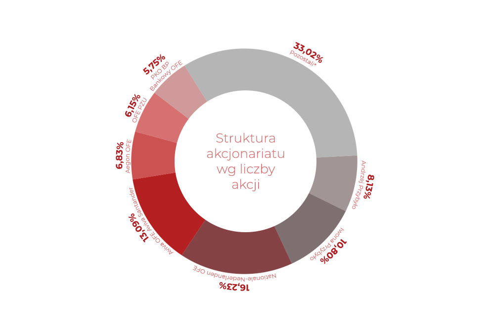 Struktura akcjonariatu wg liczby akcji