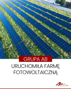 Zdjęcie z artykułu