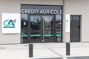 Zdjęcie z artykułu